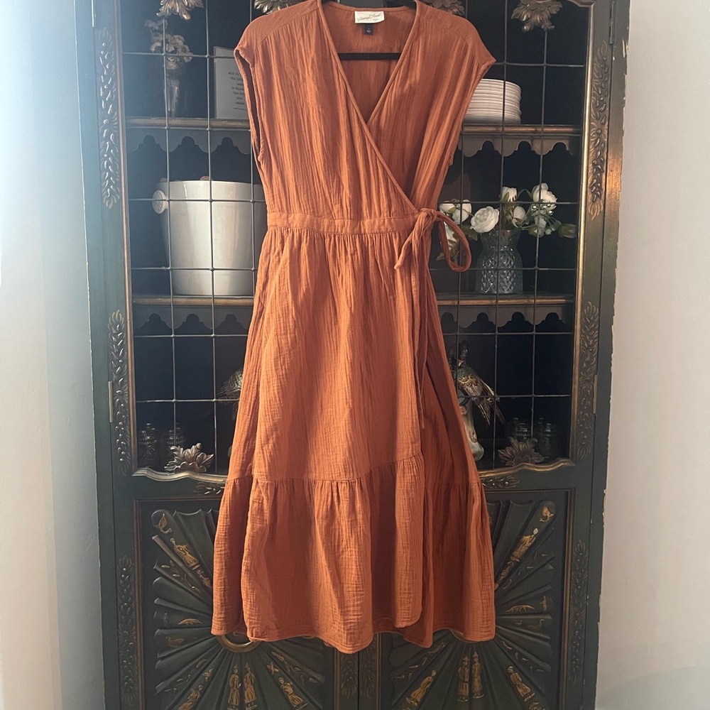 Universal Thread Rust Midi Dress